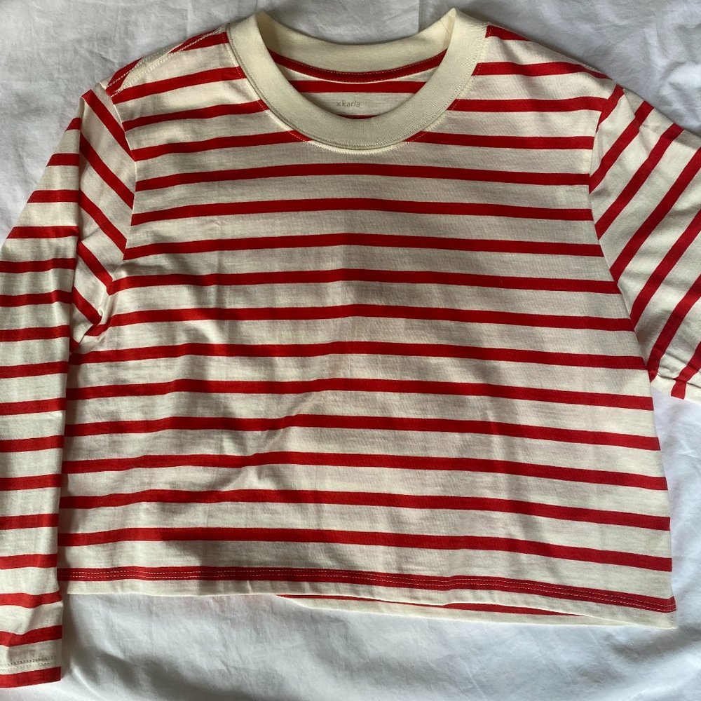 xKarla Cropped Long Sleeve Tee (Size L)